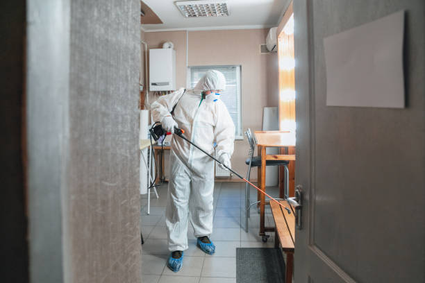  Parkland, FL Mold Removal Pros